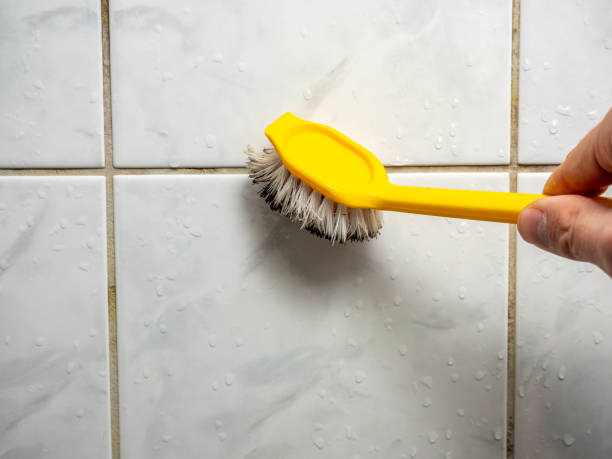 Best Mold Remediation  in Crystal Falls, MI