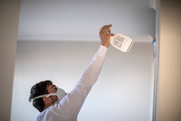 Reliable Crystal Falls, MI Mold Removal Solutions