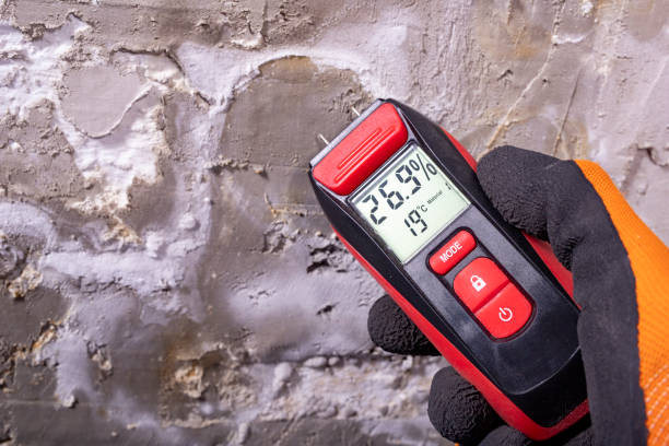 Mold Testing and Removal in Crystal Falls, MI