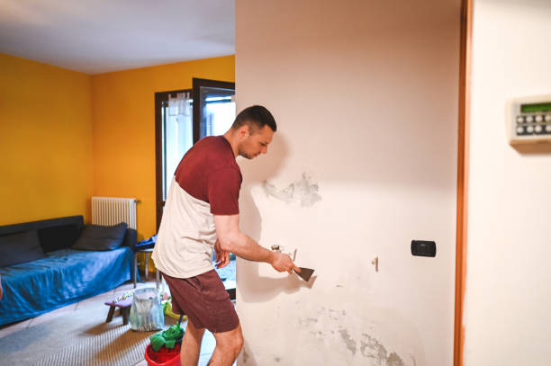Best Affordable Mold Removal  in Crystal Falls, MI